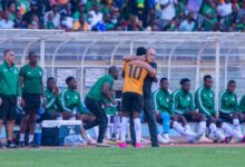 Coach Grant Welcomes Selection Dilemma After Chipolopolo's Stellar Show