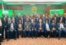 FAZ Leaders Elevate Football Governance at CAF Workshop