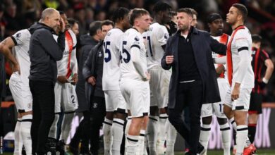 Luton Town Captain Collapses on the Field in Match Against Bournemouth