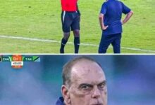 Avram Grant Requests CAF to Probe Beninese Referee's Decisions