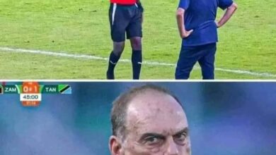 Avram Grant Requests CAF to Probe Beninese Referee's Decisions