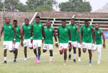 Prison Leopards Release Nine Players