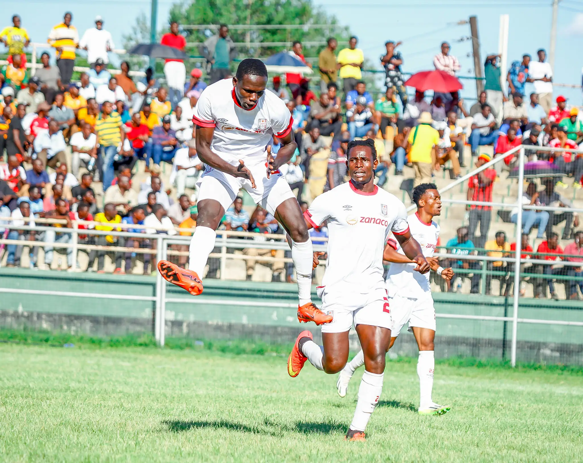 Zanaco's Late Comeback Stops Green Eagles' Win